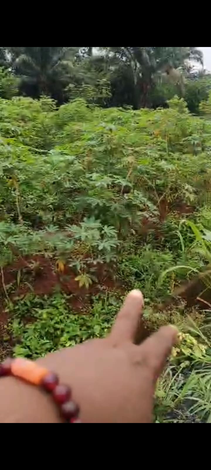 Land for sell in Enugu — 2